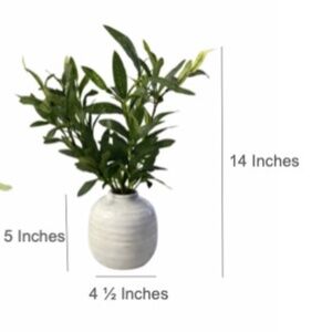 Indoor Artificial Olive Plant in Ceramic Vase